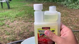 How to use Permethrin to dip your chickens [upl. by Rox]