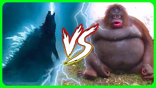 Godzilla vs Kong explained by an idiot [upl. by England]