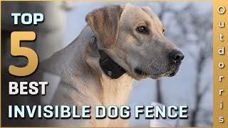 Top 5 Best Invisible Dog Fence Review in 2025 [upl. by Rockie]