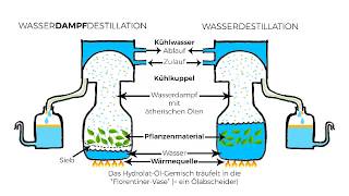 Destillation ätherischer Öle [upl. by Irod]