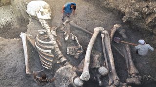 BIGGEST Real Life Skeletons Unearthed [upl. by Atnom482]