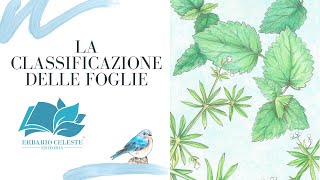 LA CLASSIFICAZIONE DELLE FOGLIE [upl. by Nelad228]