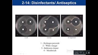 Lab 214 Disinfectant and Antiseptics [upl. by Aihsenal]