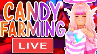 PLAYING THE NEW HALLOWEEN UPDATE AND CANDY FARMING ROBLOX Royale High Live [upl. by Jordison]