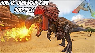 HOW TO GET YOUR OWN DODOREX IN THE NEW TURKEY TRIAL EVENT  ARK SURVIVAL EVOLVED [upl. by Magas]