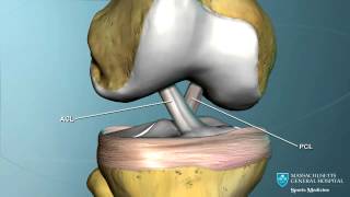 Part I Knee Anatomy [upl. by China581]