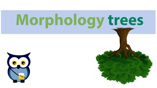 Morphology trees [upl. by Daley619]