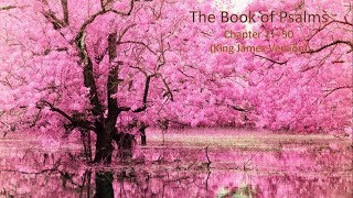 The Book Of Psalms  Psalm 1 to 150 King James Version [upl. by Akitnahs539]