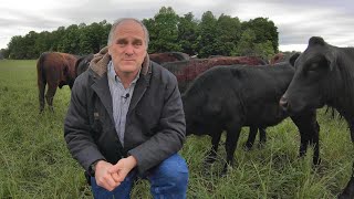 Managing a Small Cattle Herd [upl. by Eenoj]