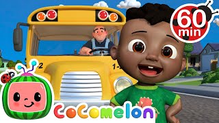 Wheels on the Bus  More  CoComelon  Its Cody Time  CoComelon Nursery Rhymes [upl. by Balbur]