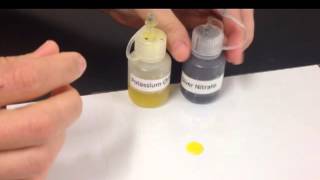 Potassium Chromate and Silver Nitrate [upl. by Ingra158]