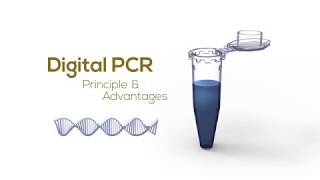 Digital PCR Principle amp Advantages [upl. by Maon949]