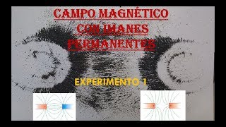 FÍSICA EXPERIMENTO 1 CAMPO MAGNÉTICO [upl. by Essilrahc18]