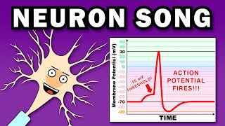 THE NEURON SONG [upl. by Pulling]