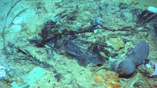 2022 TITANIC  Human remains at Titanic shipwreck site [upl. by Suinotna547]