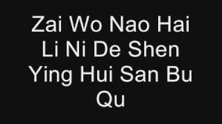 Qing Fei De Yi by Harlem Yu Lyrics PINYIN [upl. by Einobe755]