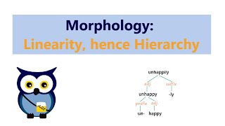 Morphology Linearity hence Hierarchy [upl. by Aisereht475]