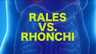 Rales vs Rhonchi  USMLE [upl. by Pearline]