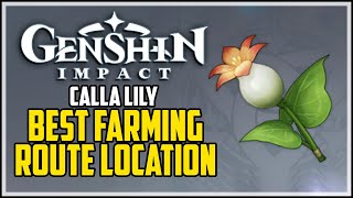 How to Get Calla Lily  Genshin Impact  Best Farming Route [upl. by Richelle]