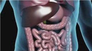 Nutritional Health  How to Clean Your Colon by Fasting [upl. by Aihsyt671]