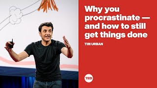 Why you procrastinate  and how to still get things done  Tim Urban [upl. by Galen750]