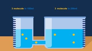 Osmosi e diffusione [upl. by Llertniuq]