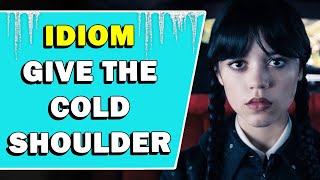 Idiom Give The Cold Shoulder Meaning [upl. by Dicky]