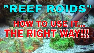 Reef Roids  How To Use It  The Right Way [upl. by Nahtonoj]