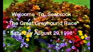 Seabrook Great Greyhound Race 1976  2002  Greyhound Racing [upl. by Maurer679]