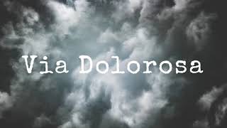 VIA DOLOROSA  INSTRUMENTAL [upl. by Leelah573]