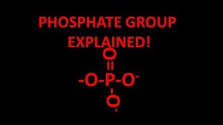 Phosphate functional group explained [upl. by Liamaj294]