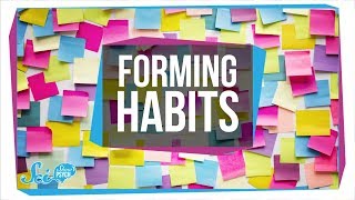 How to Form a Habit [upl. by Eirelam]