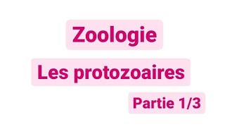 Zoologie L2  les protozoaires SNV [upl. by Agnella83]