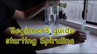 Stepbystep guide to starting your Spirulina culture [upl. by Ahsenod]