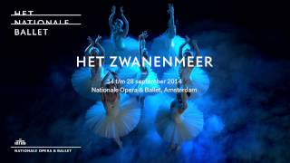 Het Zwanenmeer  Het Nationale Ballet  Dutch National Ballet [upl. by Merridie]