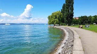 Tauchen im Bodensee  Meersburg Krebsgarten [upl. by Francklyn846]