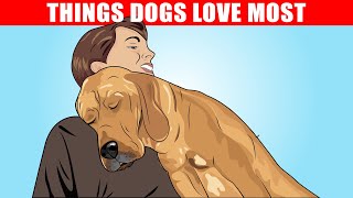 15 Things Dogs Love the Most [upl. by Ribble]