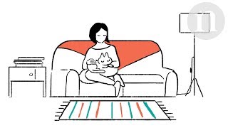 Cat domestication From farms to sofas [upl. by Collete]