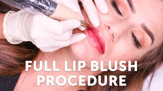 Full Lip Blush Procedure  Tina Davies Professional I 💋 INK [upl. by Ahsiram110]