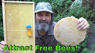 How To Attract Bees To Your Bee Box [upl. by Oglesby]