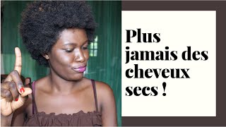 COMMENT HYDRATER EFFICACEMENT DES CHEVEUX CRÉPUS  PLUS JAMAIS LES CHEVEUX SECS [upl. by Stoeber622]