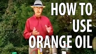 How To Use Orange Oil  The Dirt Doctor [upl. by Thorsten]