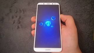 Huawei MATE 10 Lite Hard reset [upl. by Ielirol900]