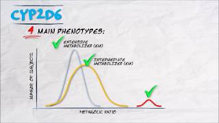 The Pharmacogenetics Series  CYP2D6 [upl. by Ressler]