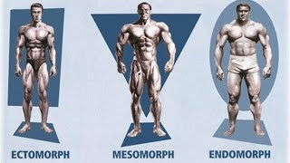 Ectomorph Endomorph Mesomorph How To Train amp Eat For YOUR Body Type [upl. by Aneral]