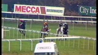 1988 Tingle Creek Limited Handicap Chase [upl. by Thomasa313]