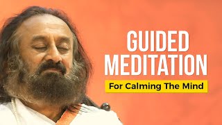 Guided Meditation For Calming The Mind By Gurudev Sri Sri Ravi Shankar [upl. by Esinal]