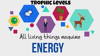 Trophic LevelsEnergy Flow in Ecosystems [upl. by Eriam]