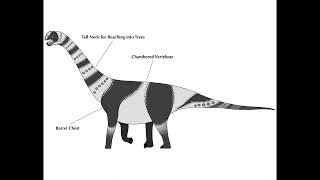 Camarasaurus Supremus [upl. by Aamsa362]