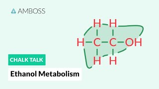 Ethanol Metabolism Alcohol Breakdown in the Body [upl. by Horne]